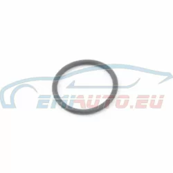 Genuine BMW O-ring (17211712417)