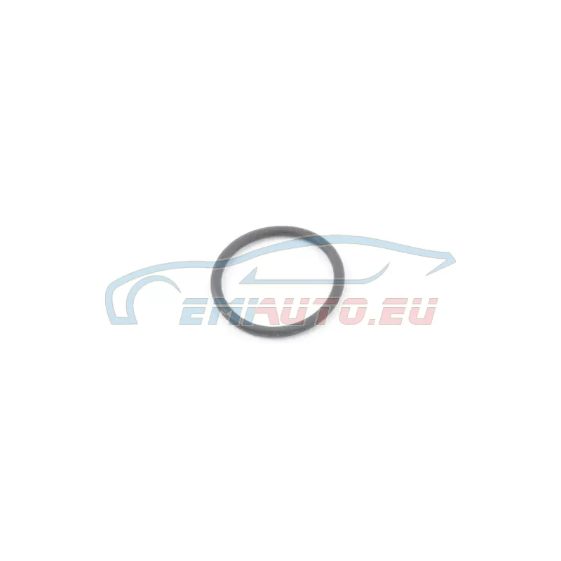 Original BMW O-Ring (17211712417)