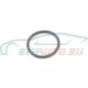 Original BMW O-Ring (17211712417)