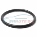 Genuine BMW O-ring (11511714519)