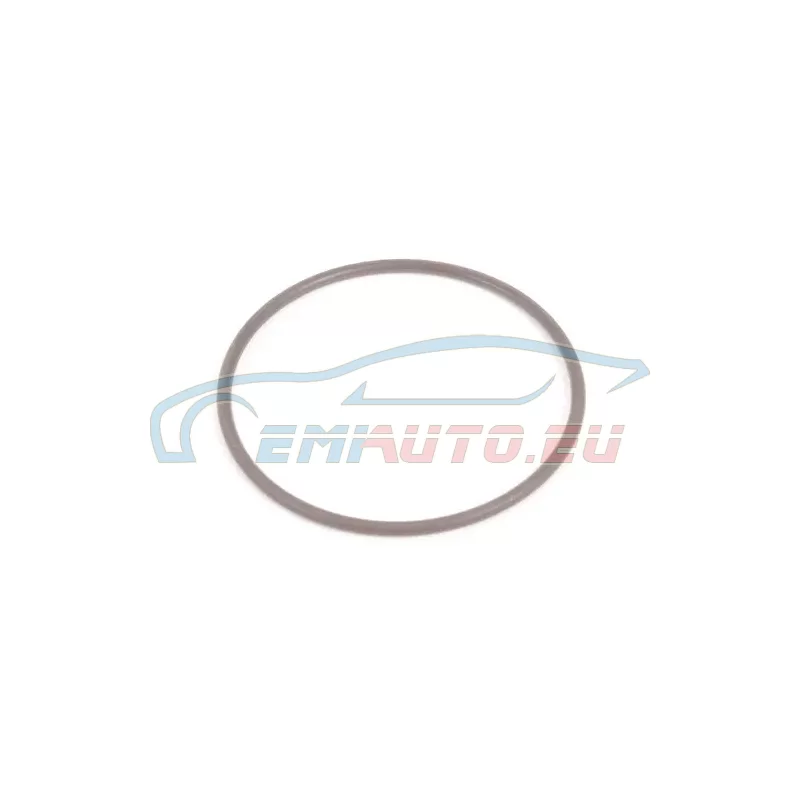 Original BMW O-Ring (23111228313)