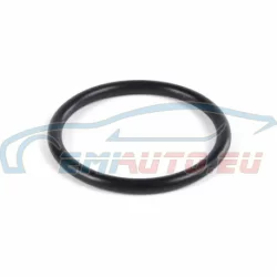Genuine BMW O-ring (24341422152)