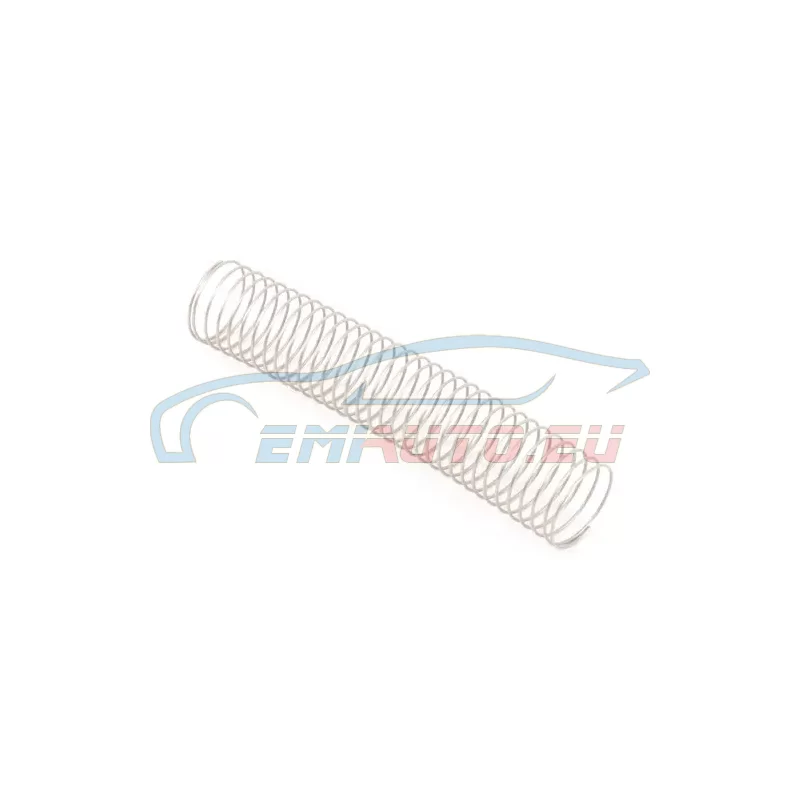 Genuine BMW Spring (13111335324)