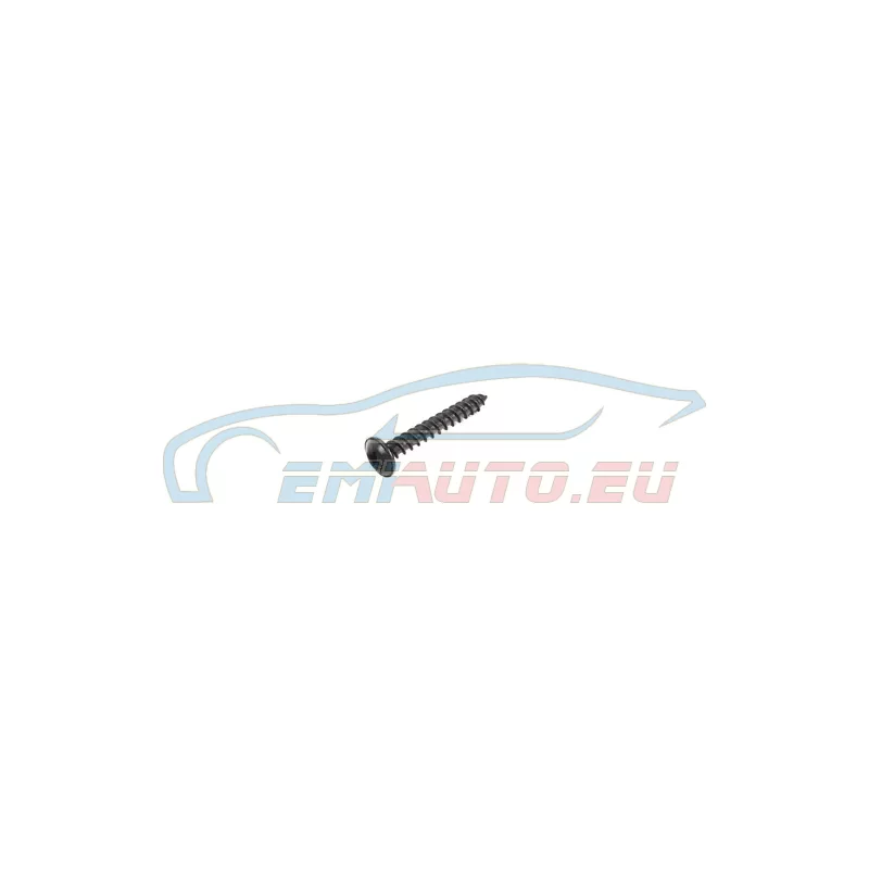 Genuine Mini Screw (41007135210)