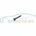 Genuine Mini Screw (41007135210)