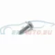 Genuine BMW Screw (07119908698)