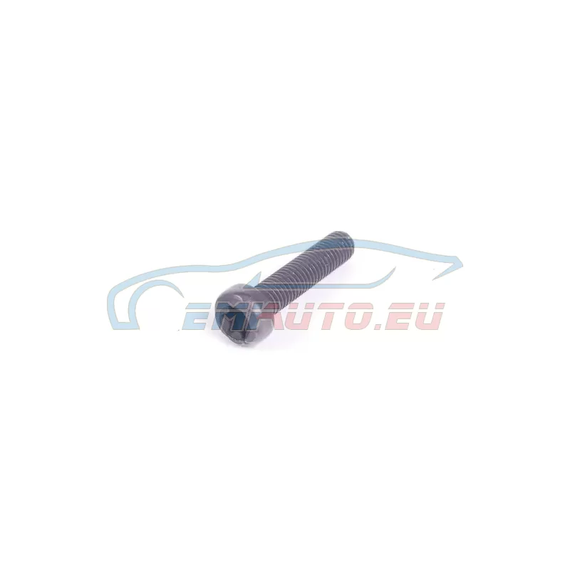 Genuine BMW Torx bolt (11317504455)