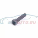 Genuine BMW Torx bolt (11317504455)