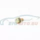 Genuine BMW Hex Bolt (07119915100)