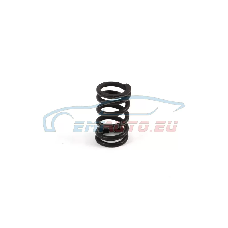 Original BMW Druckfeder (34411100122)