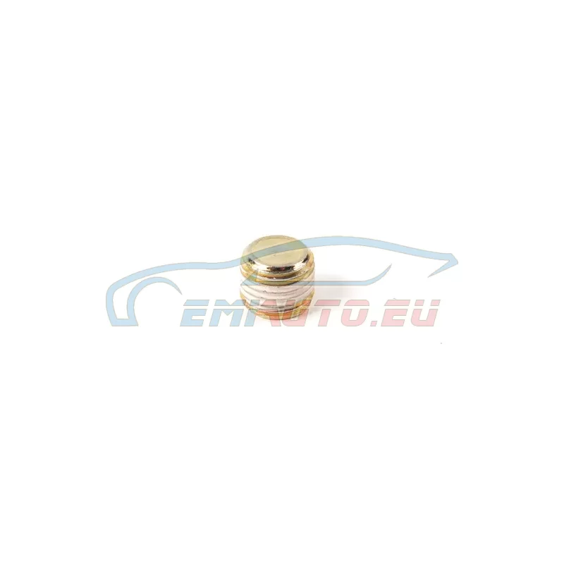 Genuine BMW Screw plug (11122244830)