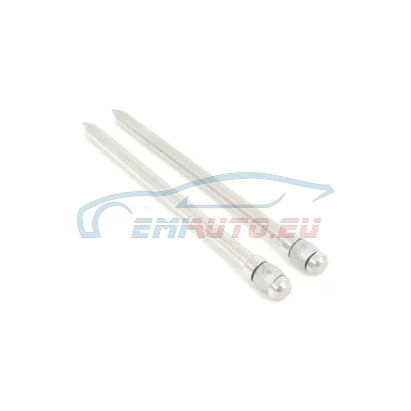 Genuine Mini Guide pin (34106784592)