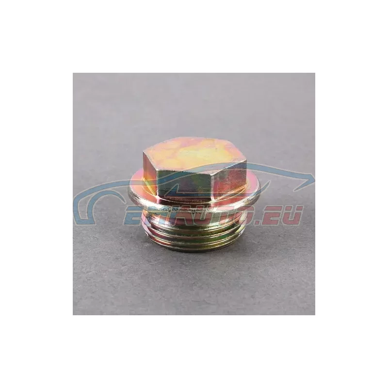 Genuine BMW Screw plug (11310631139)