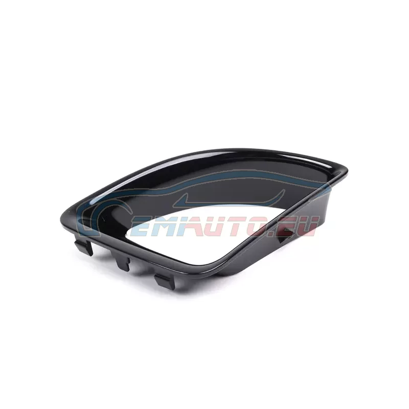 Genuine Mini FRAME RIGHT (51117255118)
