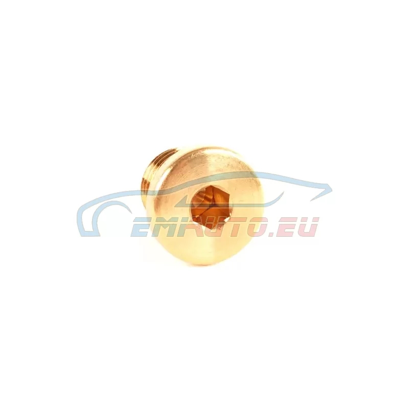 Genuine BMW Screw plug (07119919146)