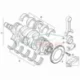 Genuine Mini Guide bearing shell (11217829946)
