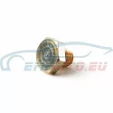 Genuine BMW Screw plug (11111254189)