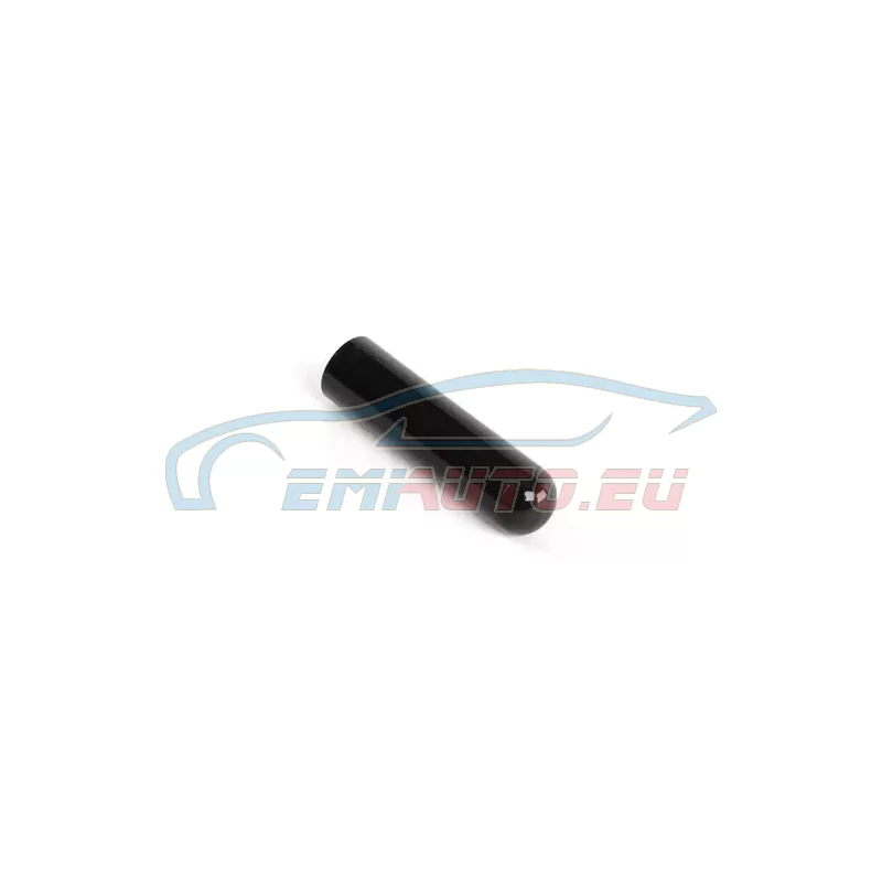 Genuine BMW LOCK BUTTON (51211805643)