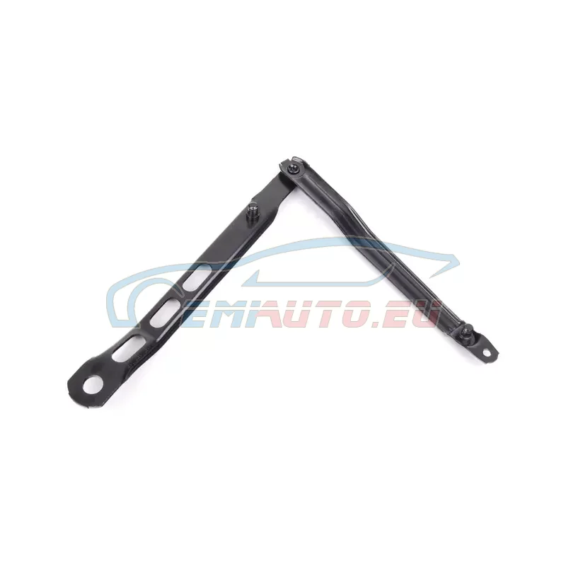 Genuine BMW Support (41611928563)