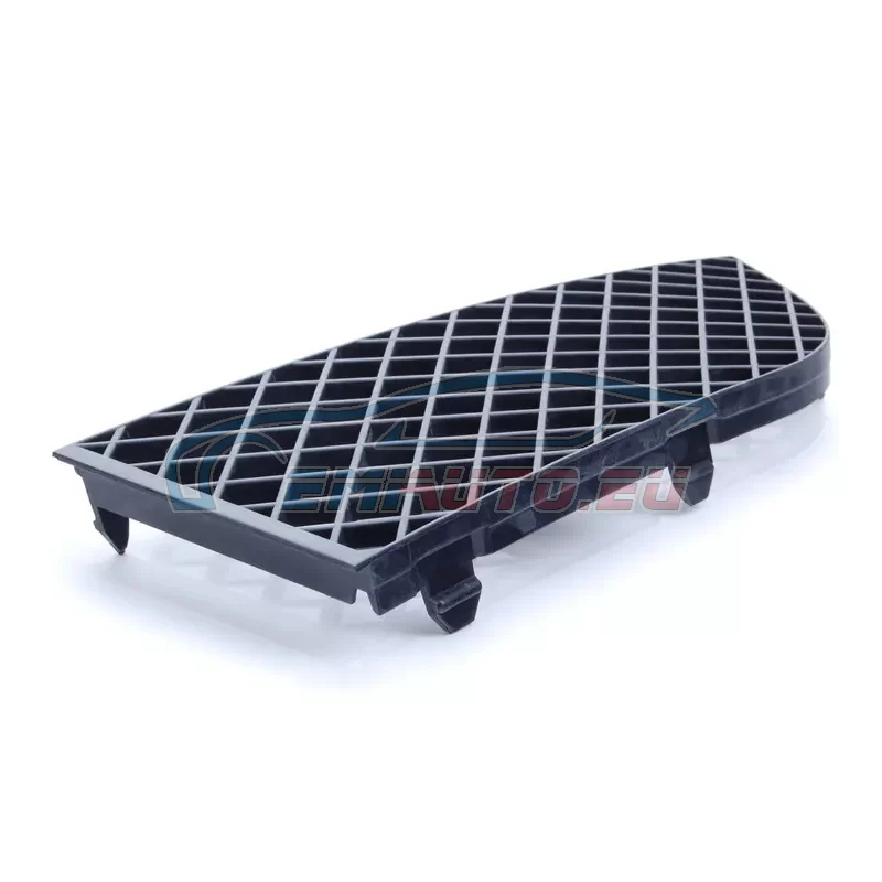Genuine BMW Grid lateral left (51117135563)