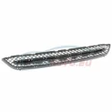Genuine BMW Grid, centre (51117303753)