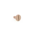 Genuine BMW LOCKING BUTTON (51468400411)