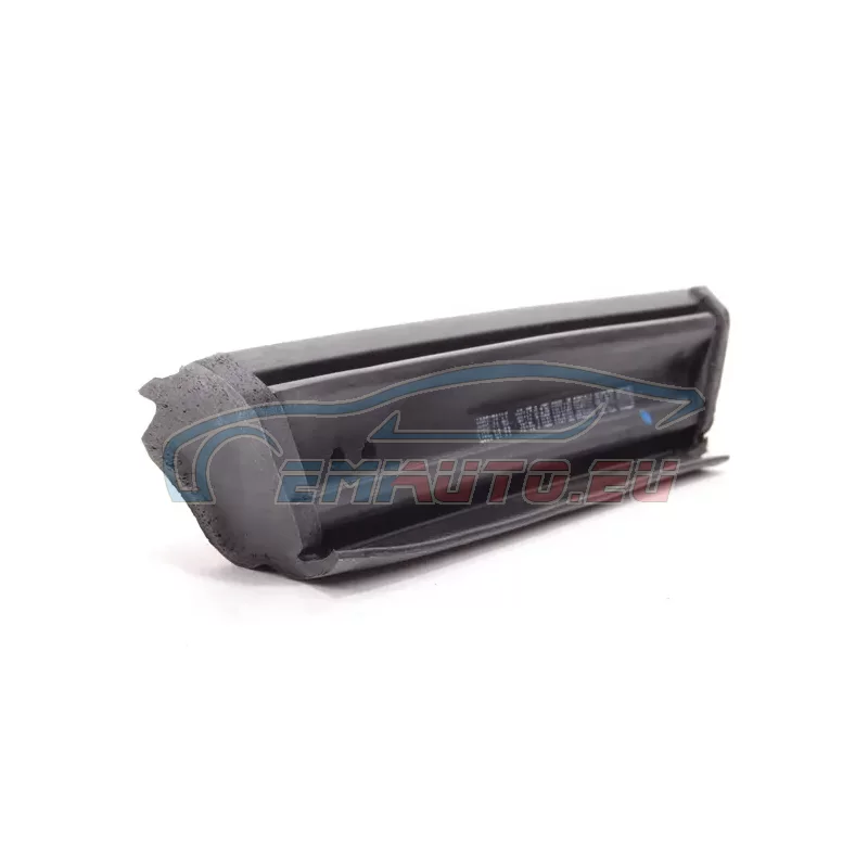 Original BMW Fensterführung vorne links (54317043891)
