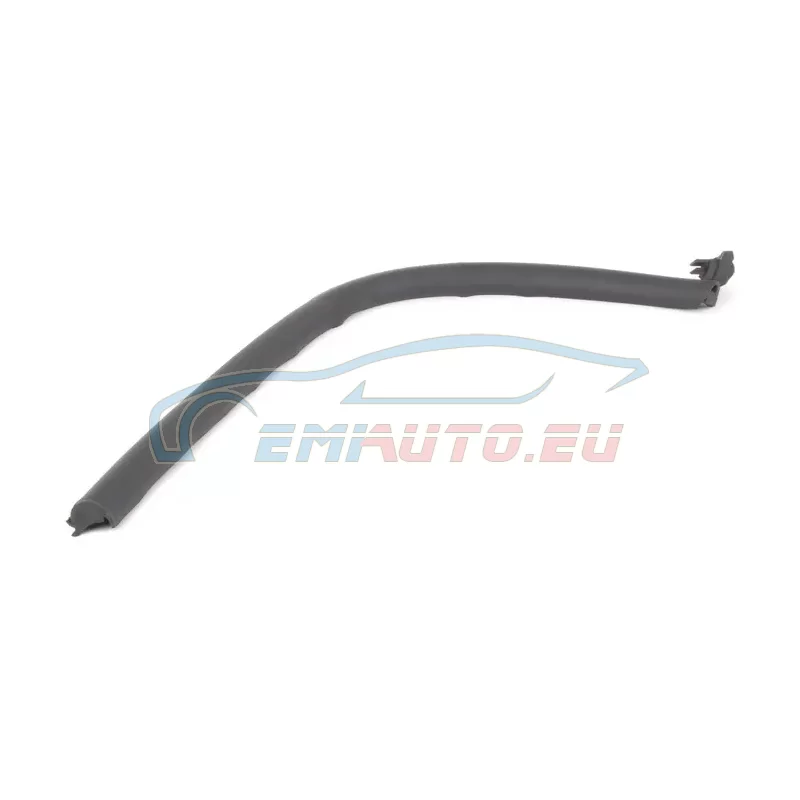 Original BMW Fensterführung links (54218410461)
