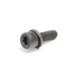 Genuine BMW Screw Torx drive (07129904366)
