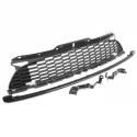 Genuine Mini Bracket and grille (63132211049)