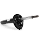 Genuine BMW LEFT FRONT SPRING STRUT (31316759561)