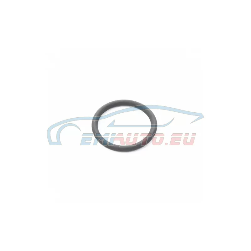 Genuine BMW O-ring (07119907874)