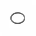 Genuine BMW O-ring (07119907874)