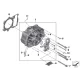 Genuine BMW O-ring (07119907874)