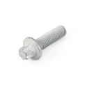 Genuine BMW Torx bolt (22116765166)