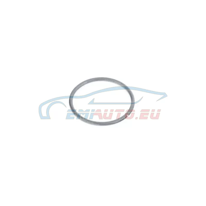 Original BMW O-Ring (27109807704)