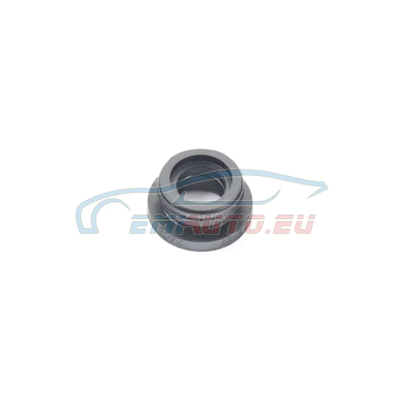 Original BMW Stopfen (34316797475)