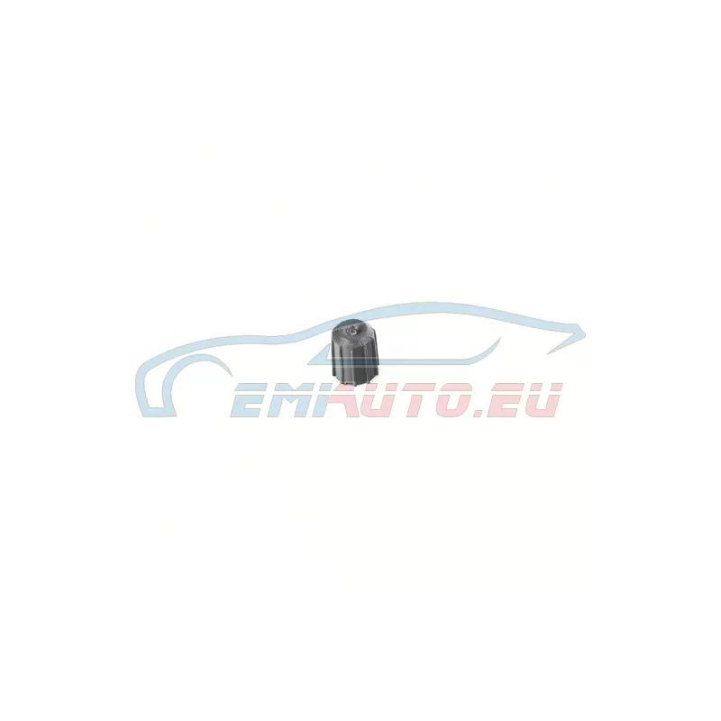 Genuine BMW Plug (63117489213)