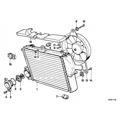 Genuine BMW Fan (17401460427)