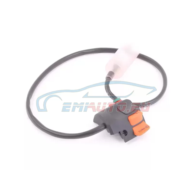 Genuine BMW Combination switch with continuous light (61311459464)