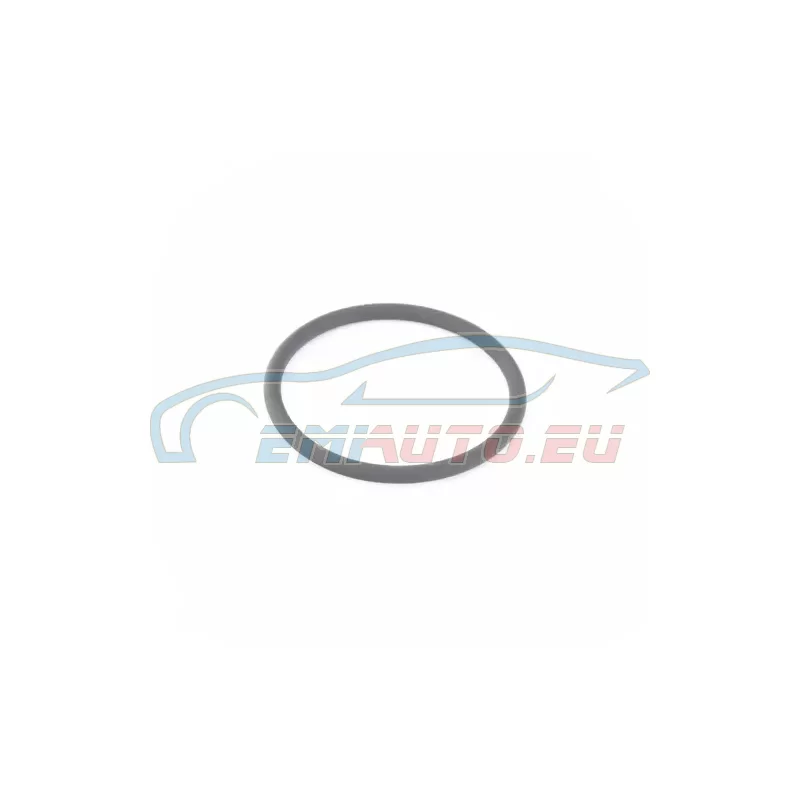 Genuine BMW O-ring (11139909334)