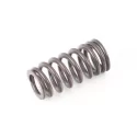 Genuine BMW Valve spring (11348603911)