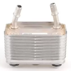 Genuine BMW Heat exchanger (17207500754)
