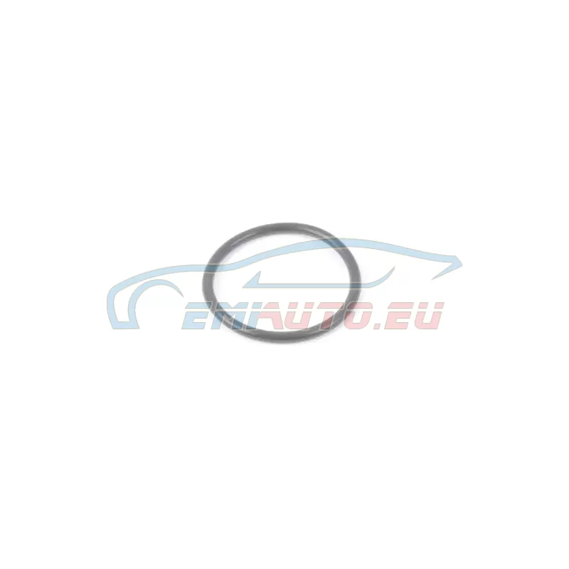 Genuine BMW O-ring (24151218846)