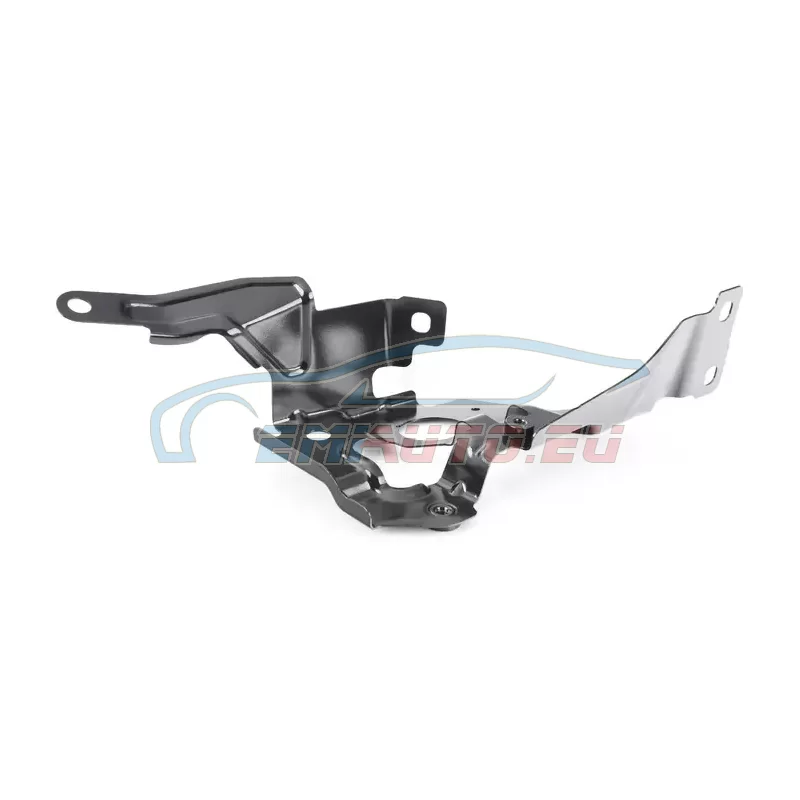 Genuine BMW Side panel bracket, front left 1 (41008494437)