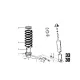 Original BMW Schraubenfeder (33531112136)