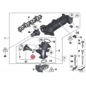 Genuine BMW O-ring (11618512681)