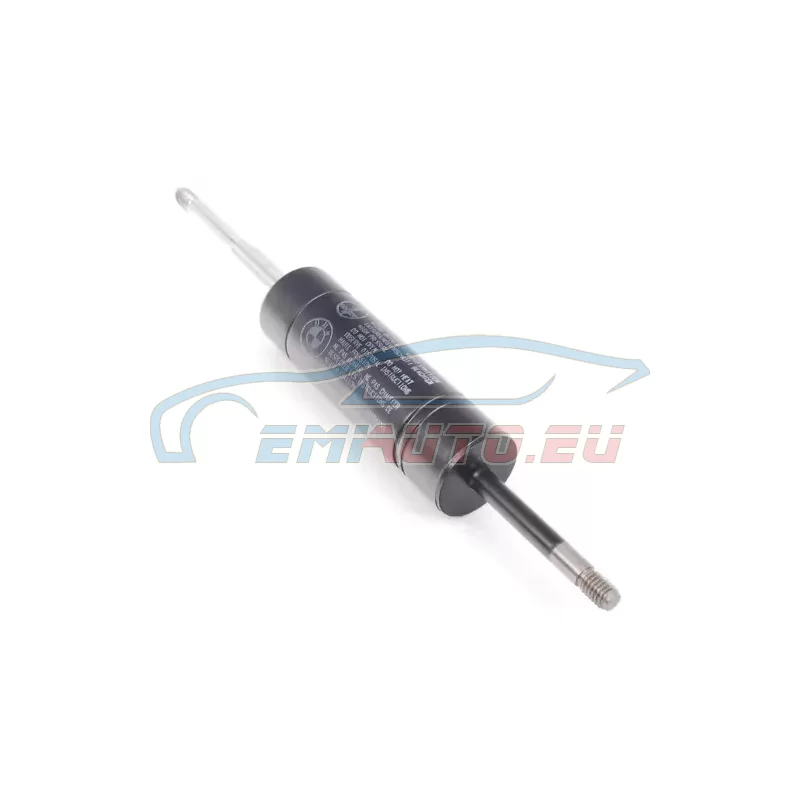 Genuine BMW Engine damper (11811245574)