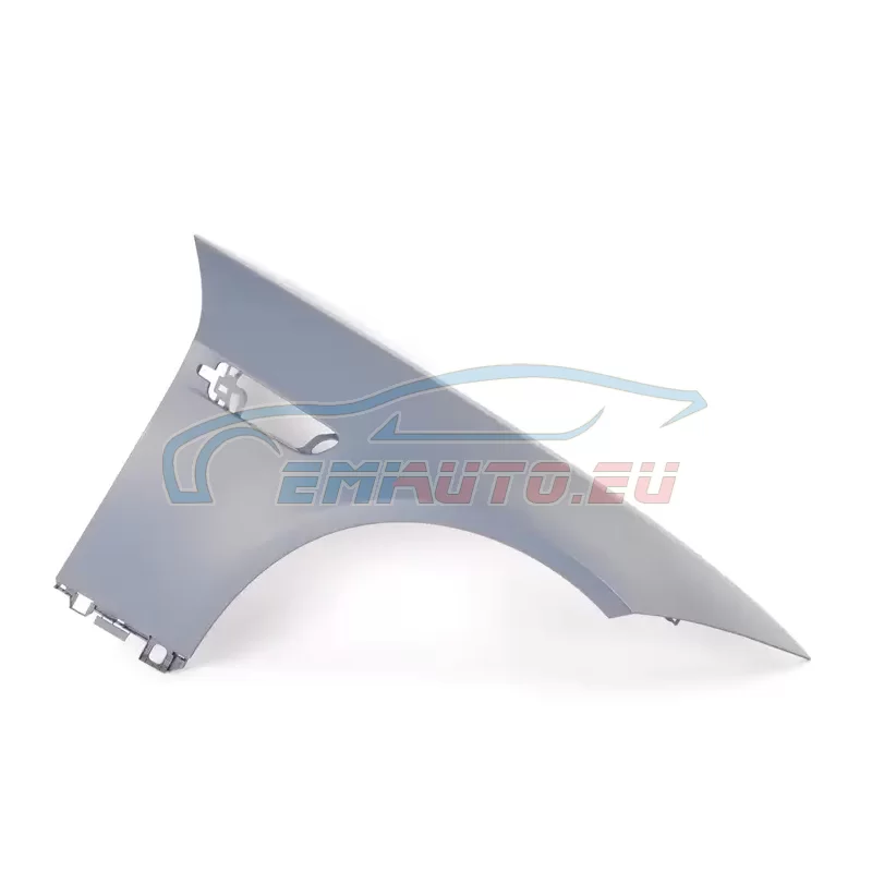 Genuine BMW Side panel, front right (41008042024)