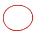 Genuine BMW O-ring (11121265087)